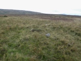 Click for full size image of Cop Stone (PID:251724) Cop Stone