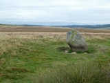 Click for full size image of Cop Stone (PID:251723) Cop Stone
