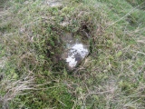 The Kirk Ring Cairn