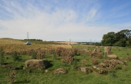Click for full size image of Gunnerkeld (PID:109769) Gunnerkeld