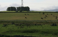 Click for full size image of Gunnerkeld (PID:109764) Gunnerkeld