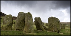 Click for full size image of Swinside (PID:130082) Swinside