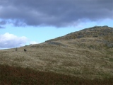 Four Stones Hill Standing Stones