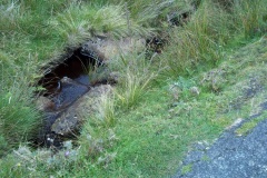 Thwaites Fell - PID:82830