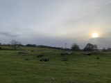 Click for full size image of Glassonby (PID:224727) Glassonby