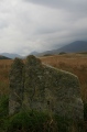Click for full size image of Low Longrigg NE (PID:171591) Low Longrigg NE