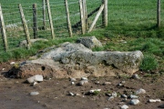 Click for full size image of Clifton Stones (PID:28523) Clifton Stones