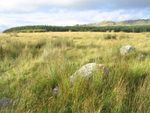 Whitrow Beck - PID:16112