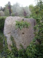 Winderwath Stone Circle