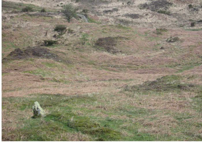 White Borran Cairn, Woodland Fell