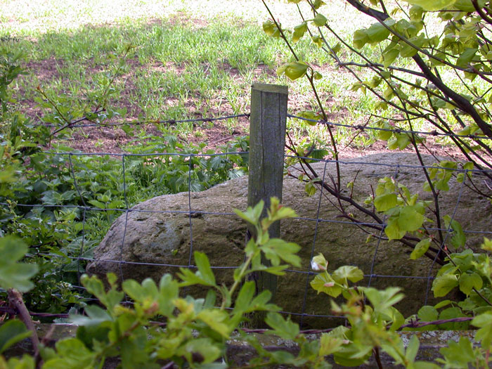 Winderwath Stone Circle