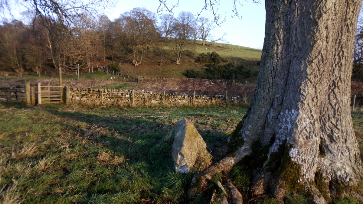 Moor Beck Marker Stone