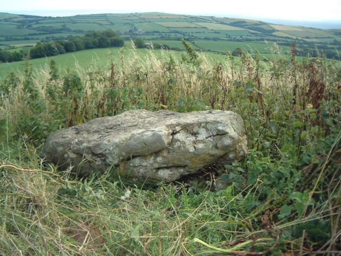 Chilcombe Hill Barrow(s) (PID:8129) Chilcombe Hill Barrow(s)