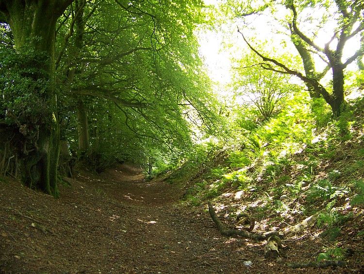 A road cuts throught the Iron Age settlement and this is a picture of the earthwork ramparts to the east of the site.