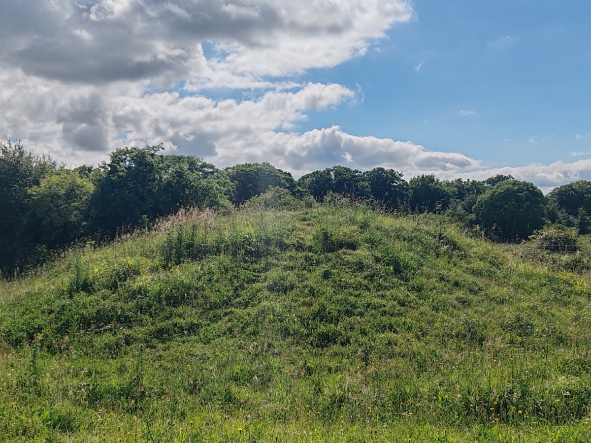 Click for full size image of Badbury Barrow (PID:274956) Badbury Barrow