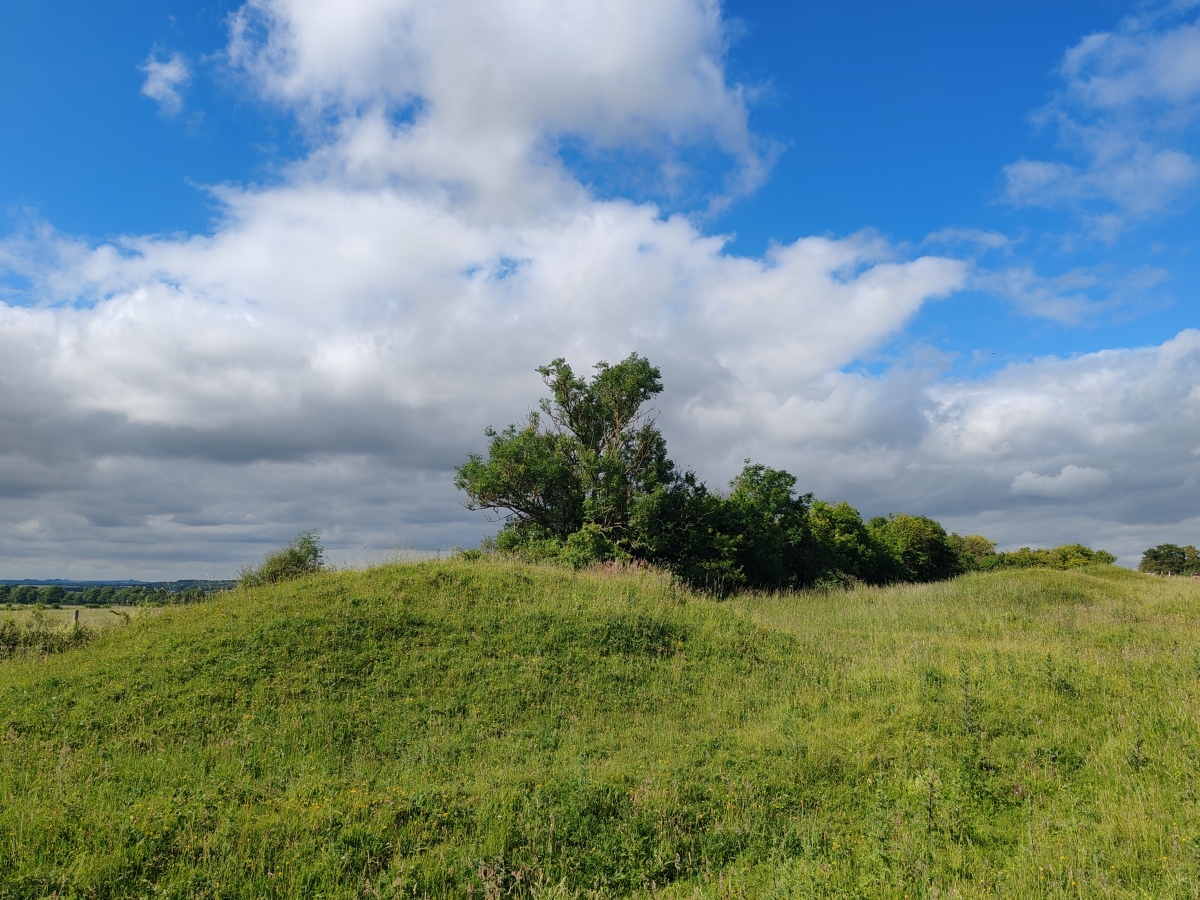 Click for full size image of Badbury Barrow (PID:274957) Badbury Barrow
