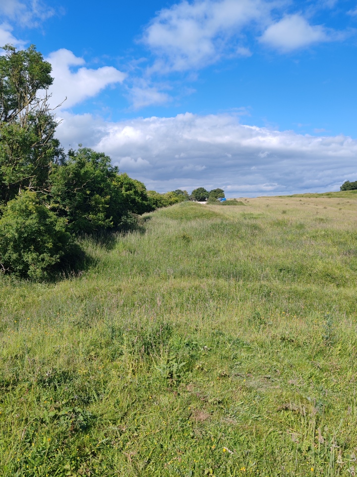 Click for full size image of Badbury Barrow (PID:274958) Badbury Barrow