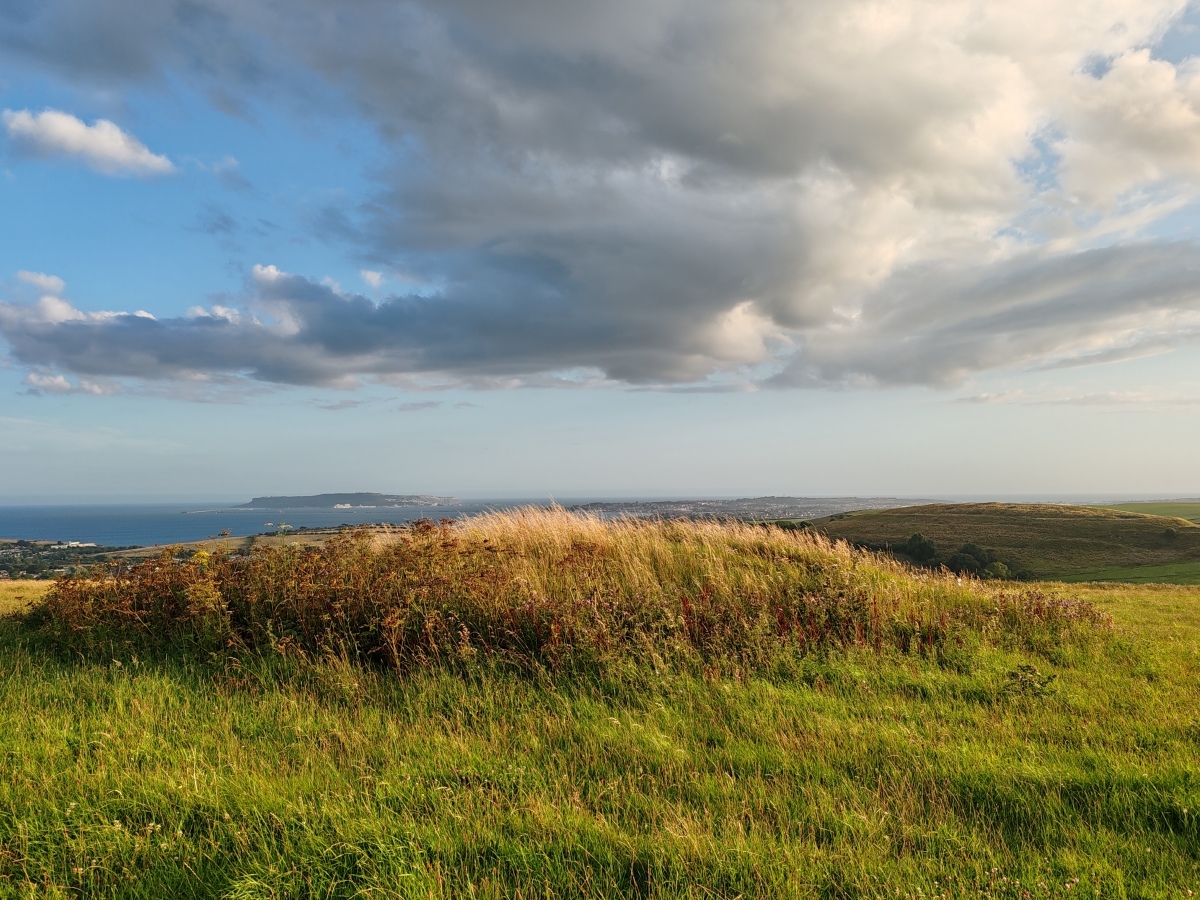 Click for full size image of Northdown (Dorset) (PID:282671) Northdown (Dorset)