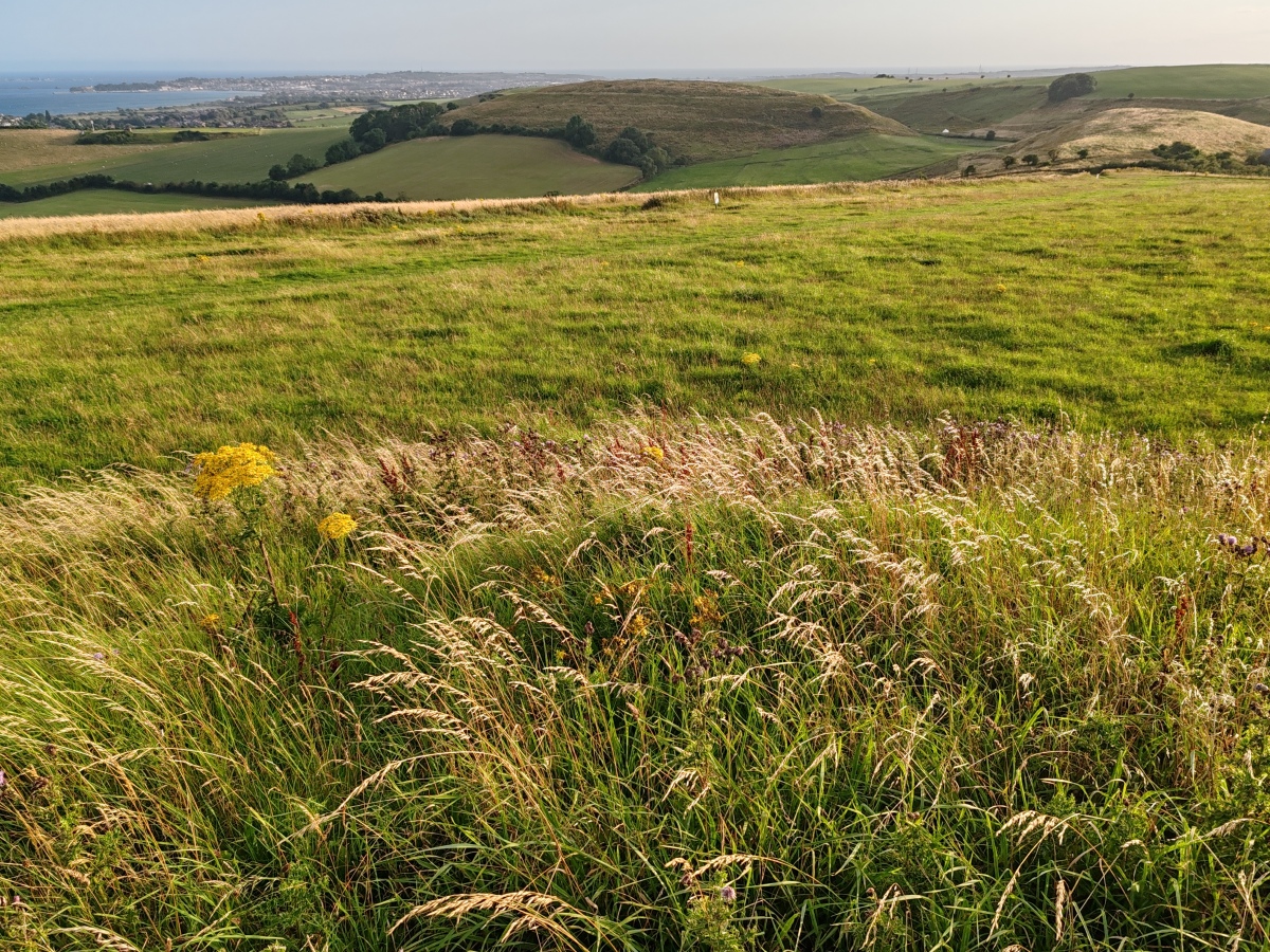 Click for full size image of Northdown (Dorset) (PID:282672) Northdown (Dorset)