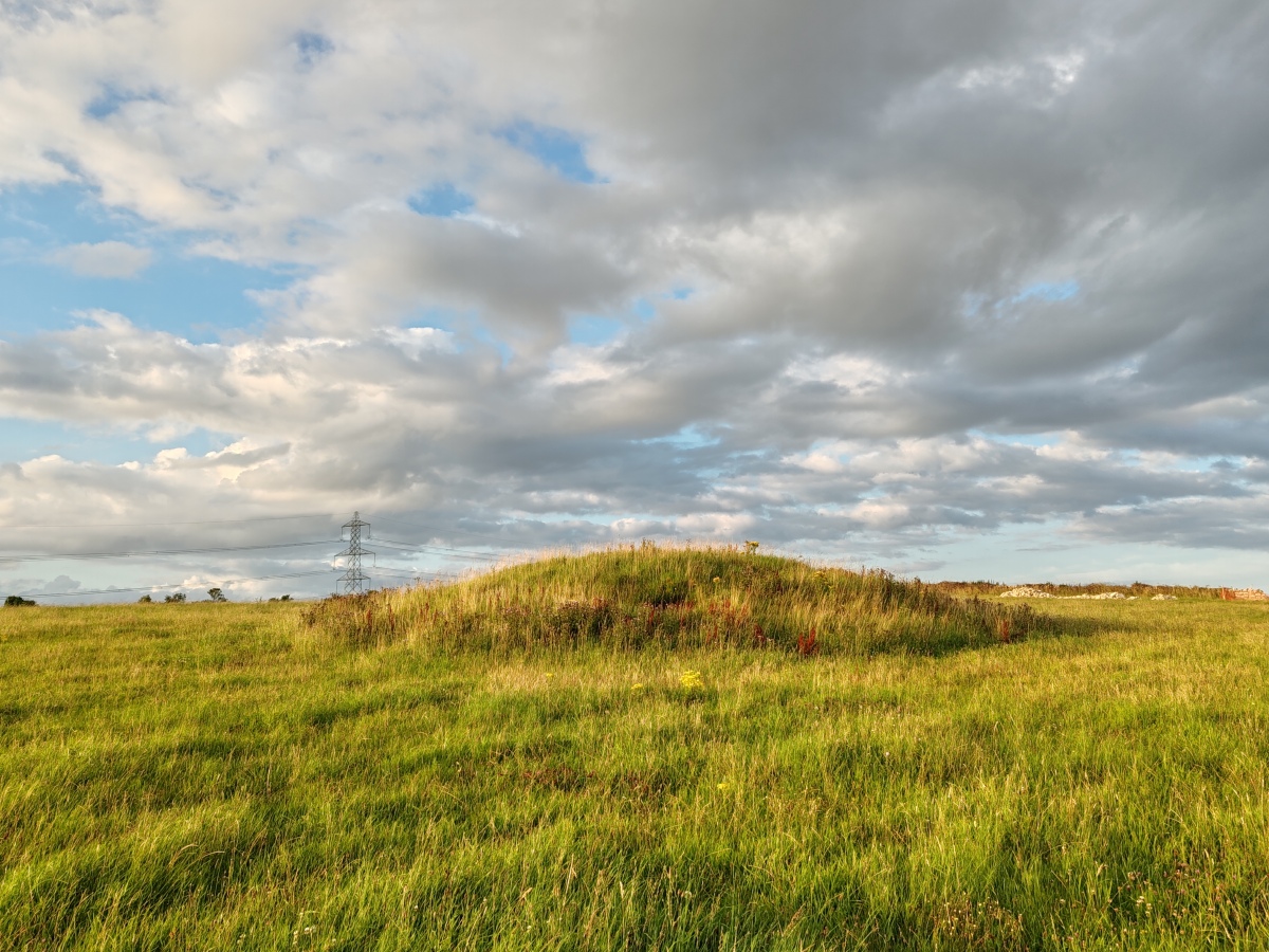 Click for full size image of Northdown (Dorset) (PID:282674) Northdown (Dorset)