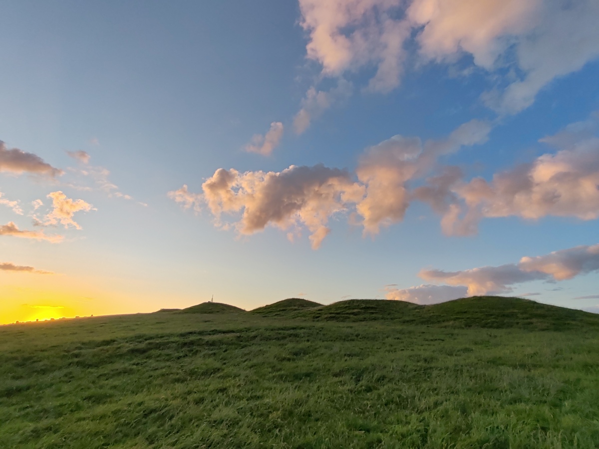 Bincombe Barrows (PID:280235) Bincombe Barrows