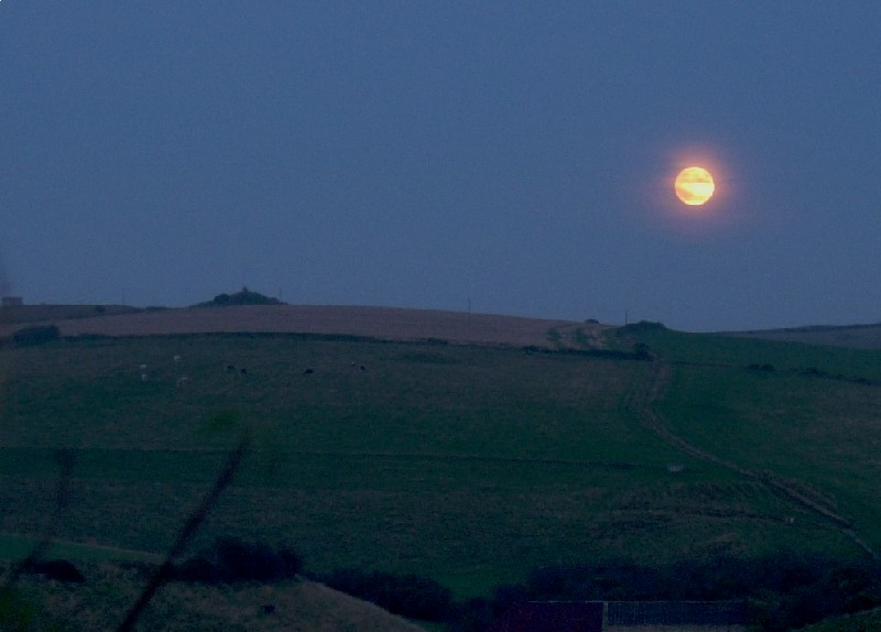 Northdown (Dorset)