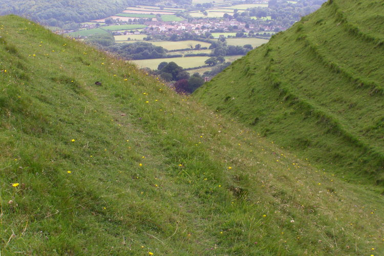 Hambledon Hill hillfort