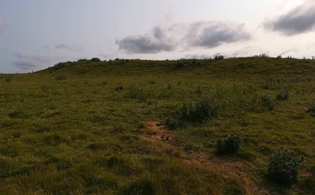 Click for full size image of Maiden Castle Causewayed Enclosure (PID:271300) Maiden Castle Causewayed Enclosure