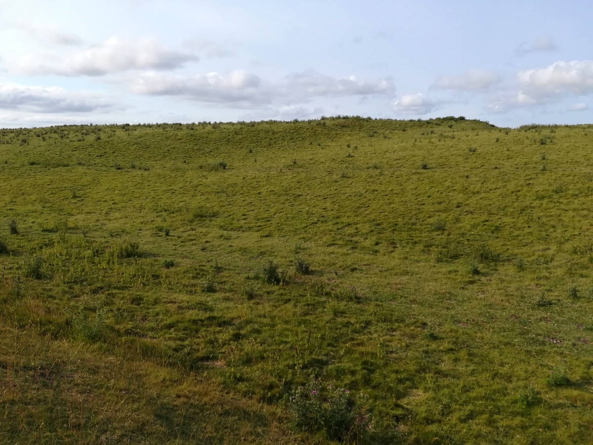 Click for full size image of Maiden Castle Causewayed Enclosure (PID:271301) Maiden Castle Causewayed Enclosure