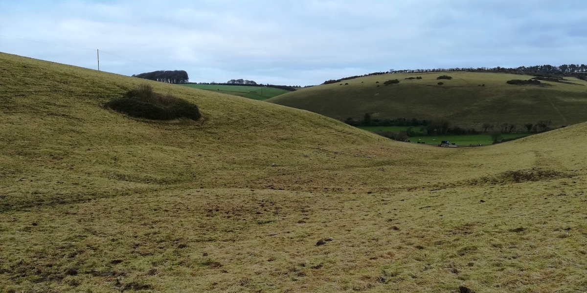 Crow Hill Enclosure