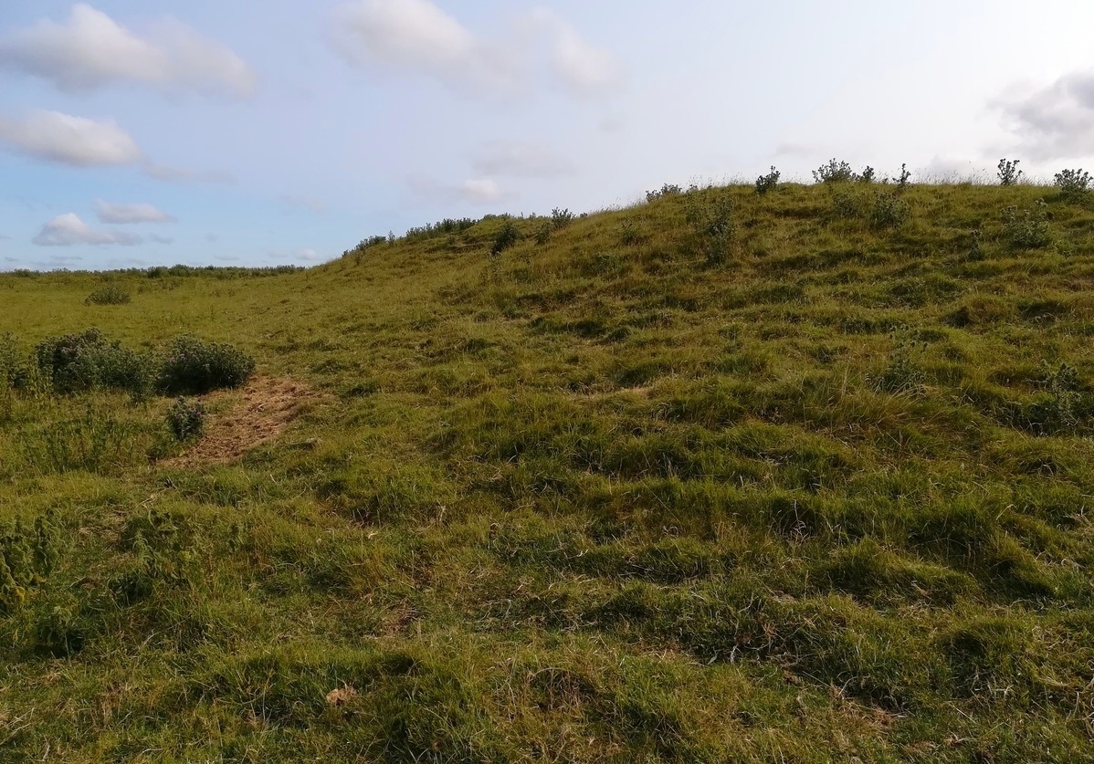 Click for full size image of Maiden Castle Causewayed Enclosure (PID:271299) Maiden Castle Causewayed Enclosure