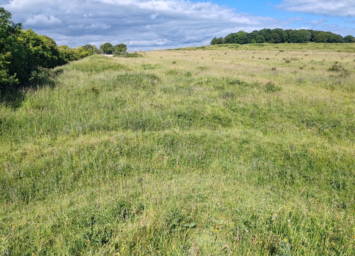 Click for full size image of Badbury Barrow (PID:274959) Badbury Barrow