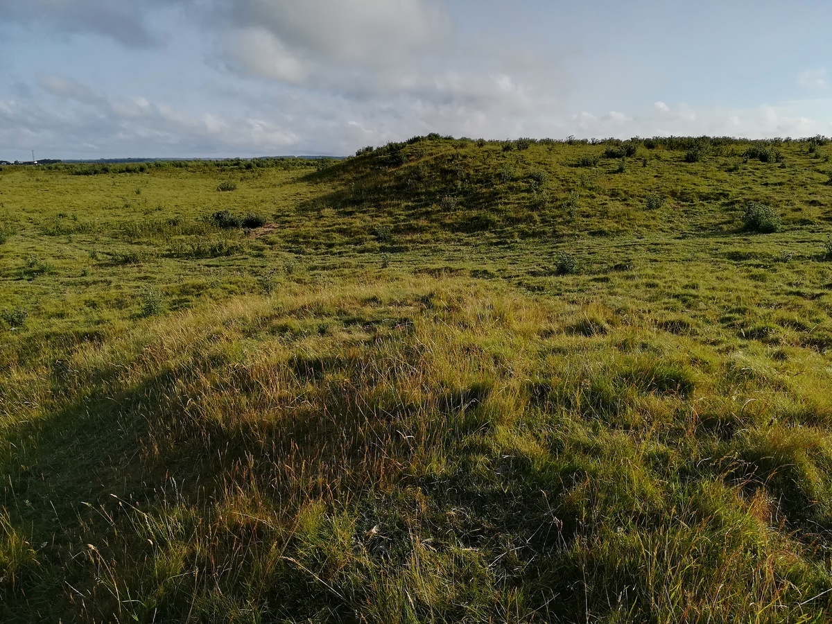 Click for full size image of Maiden Castle Causewayed Enclosure (PID:271202) Maiden Castle Causewayed Enclosure