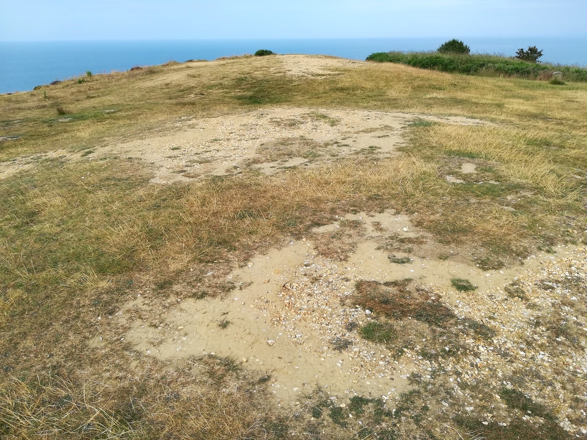 Click for full size image of Golden Cap Barrows (PID:270417) Golden Cap Barrows