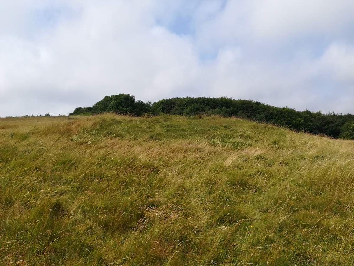 Click for full size image of Martin's Down Round Barrows (PID:270017) Martin's Down Round Barrows