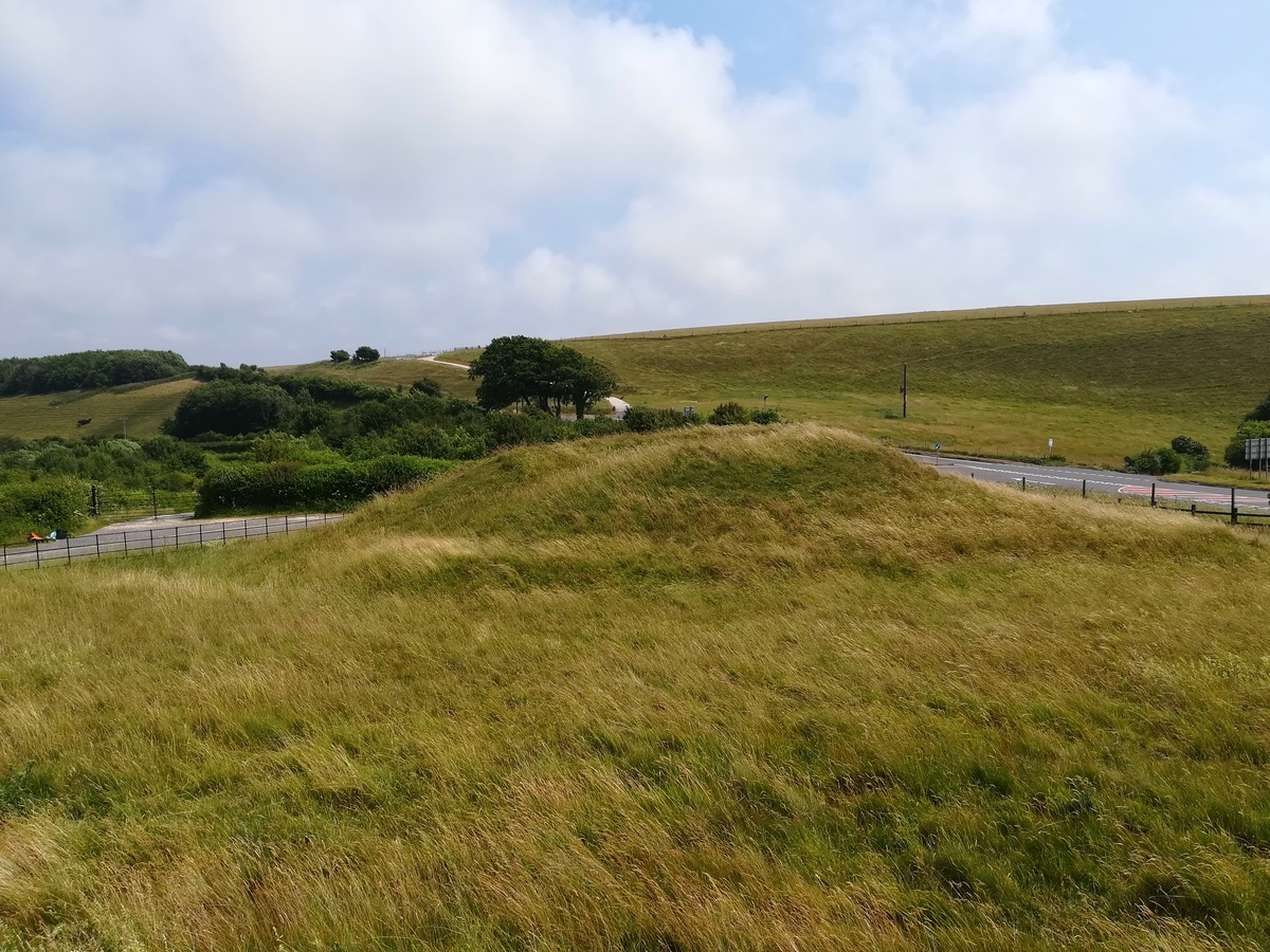 Click for full size image of Martin's Down Round Barrows (PID:270016) Martin's Down Round Barrows