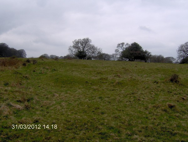 Ringmoor Settlement (PID:88098) Ringmoor Settlement