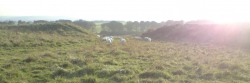 Badbury Rings