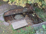 St Augustine's Well (Cerne Abbas)
