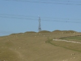 Click for full size image of Bincombe Barrows (PID:3916) Bincombe Barrows