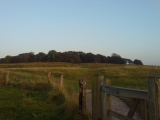 Badbury Rings