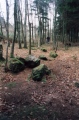 Click for full size image of Rempstone Stone Circle (PID:541) Rempstone Stone Circle