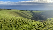 Click for full size image of Eggardon Hill (PID:247762) Eggardon Hill