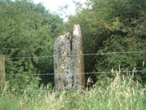 The Harp Stone - PID:8160