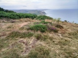 Click for full size image of Golden Cap Barrows (PID:270410) Golden Cap Barrows