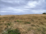 Click for full size image of Golden Cap Barrows (PID:270411) Golden Cap Barrows