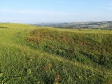 Tenants Hill enclosure