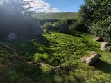 Click for full size image of Nine Stones (Dorset) (PID:274567) Nine Stones (Dorset)