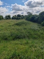 Click for full size image of Badbury Barrow (PID:274955) Badbury Barrow
