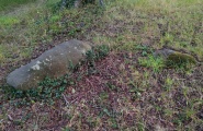 Click for full size image of Blandford Forum Stones (PID:282588) Blandford Forum Stones